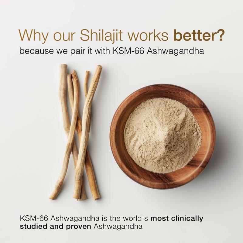 Areya™ Pure Himalayan Shilajit Gold Gummies