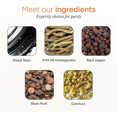 AREYA™ LABS – Pure Himalayan Shilajit Gummies