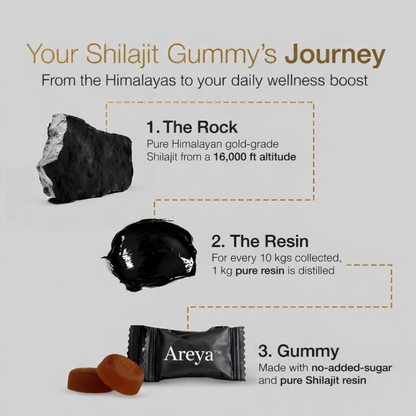 Areya™ Pure Himalayan Shilajit Gold Gummies