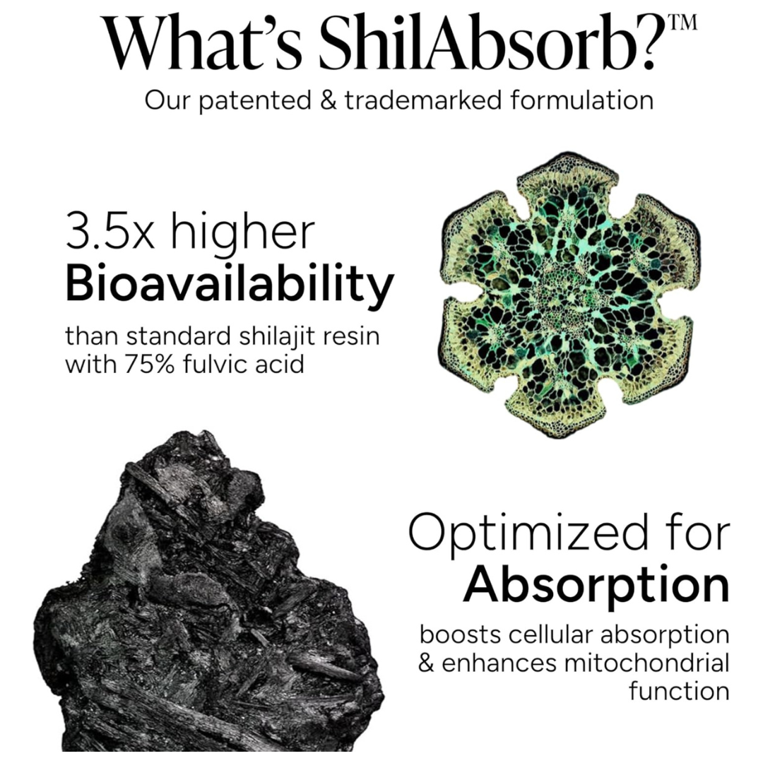 Himalayan Shilajit | KSM 66 Ashwagandha Gummies