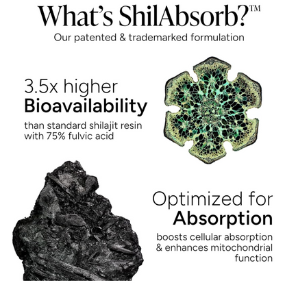 Himalayan Shilajit | KSM 66 Ashwagandha Gummies