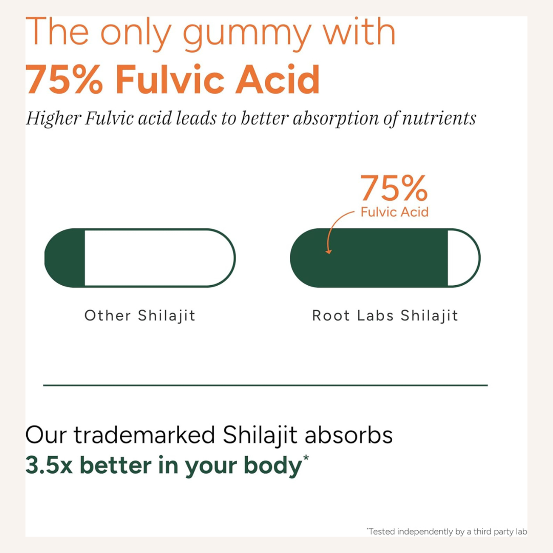 AREYA™ LABS – Pure Himalayan Shilajit Gummies