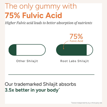 AREYA™ LABS – Pure Himalayan Shilajit Gummies