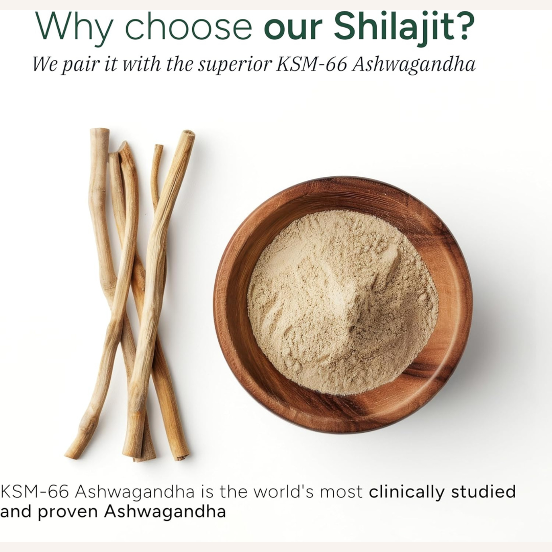 Areya™ Energy + Hormone Balance Duo | Himalayan Shilajit Gummies & She-Lajit Honey Sticks